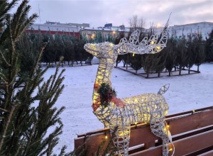 Названа дата открытия ёлочных базаров в Центральном районе Красноярска