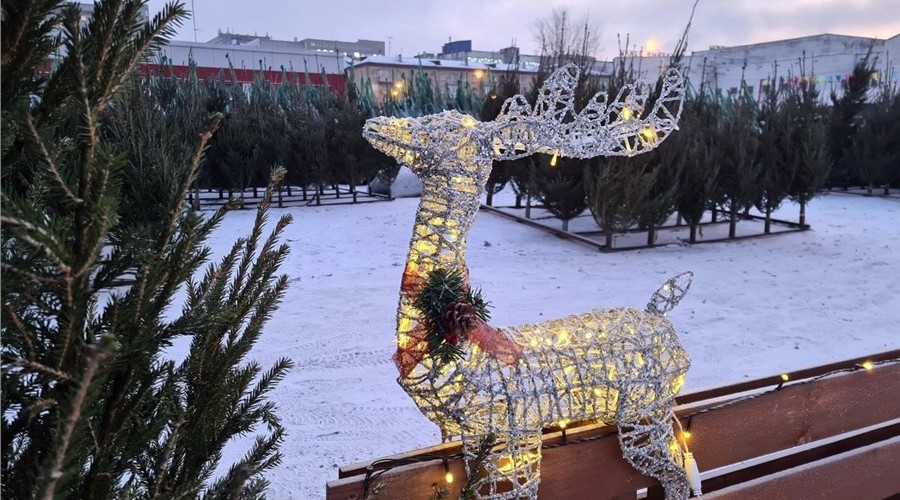 Названа дата открытия ёлочных базаров в Центральном районе Красноярска