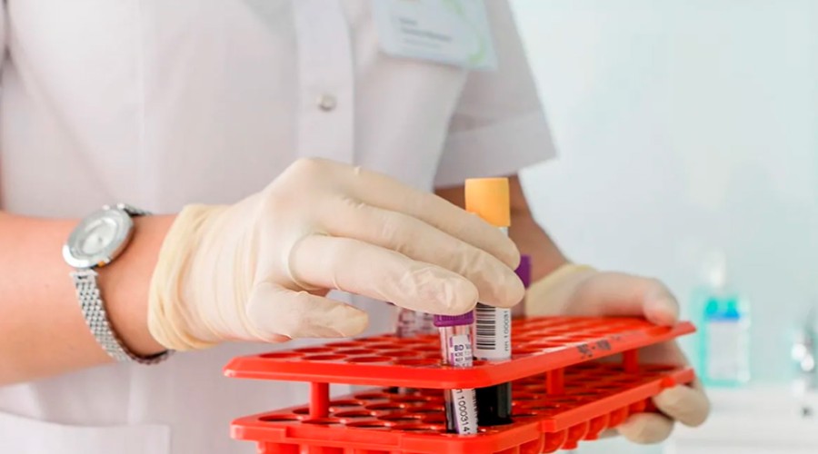 Что за редкая болезнь, которой пенсионерка заразилась от муравьев в Сибири?