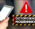 В Зеленогорске мошенники втянули в преступную схему 11-летнего ребенка