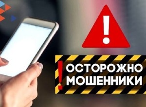 В Зеленогорске мошенники втянули в преступную схему 11-летнего ребенка