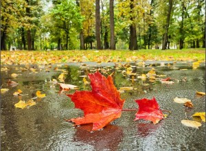 В длинный уик-энд красноярцев ждут погодные контрасты