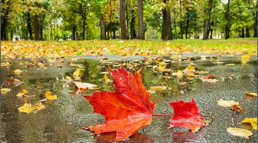 В длинный уик-энд красноярцев ждут погодные контрасты