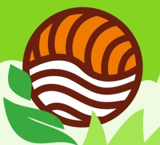 Япономания в Нововятске