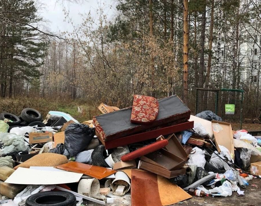 В Красноярске несколько лет не могут избавиться от свалки возле «Красивого берега»