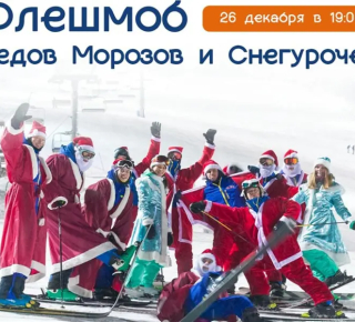 В красноярском фанпарке "Бобровый лог" анонсирован предновогодний флешмоб